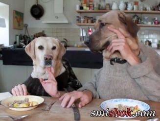 Як їдять реальні собачки