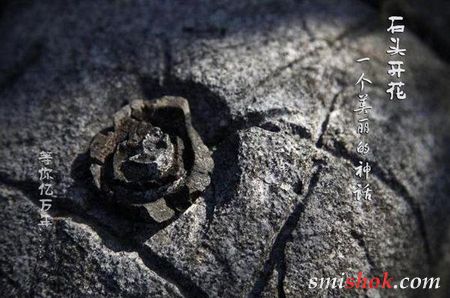 У Китаї ростуть кам'яні квіти