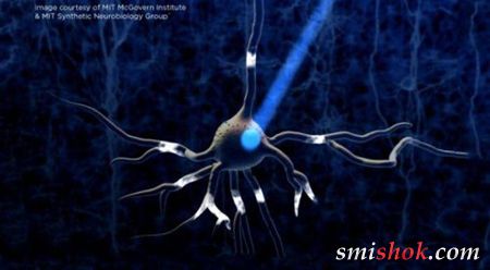 Вчені, за допомогою бездротового «роутера», навчилися управляти клітинами головного мозку