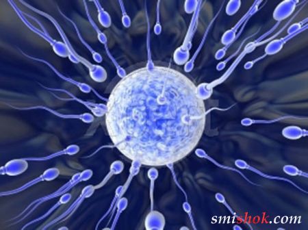 10 фактів про чоловічу сперму
