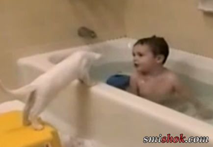 Малюк знайшов собі каченя у ванну