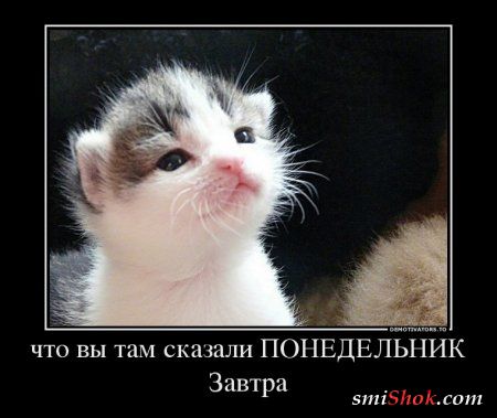 http://smishok.com/uploads/posts/2013-07/1373224430_1373193166_47085_chto-vyi-tam-skazali-ponedelnik-zavtra_demotivators_ru.jpg