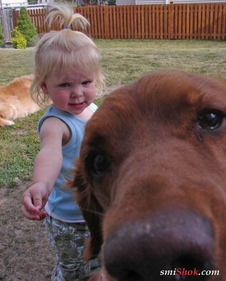 На фото дети и собаки, забавная фотоподборка