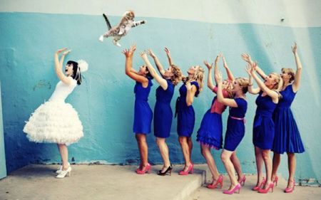 Что если бы невесты бросали котов вместо букетов