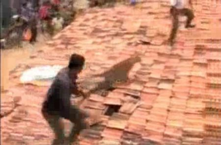 Леопард навел шухеру в индийской деревне