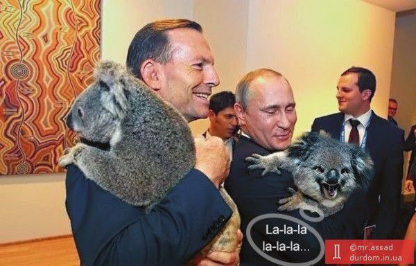 Путин с коалой "взорвал" интернет