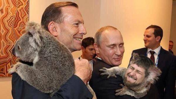 Путин с коалой "взорвал" интернет