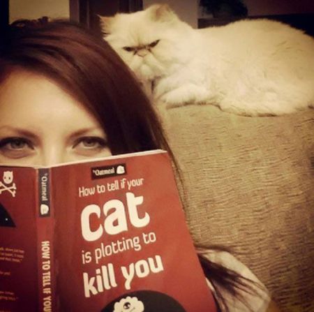 Кошки задумавшие убить своих хозяев