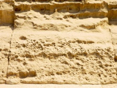 Окаменелый морской еж доказал древность Сфинкса и пирамид