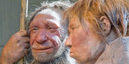 Неандертальцы не были «жалкой карикатурой» на Человека Разумного