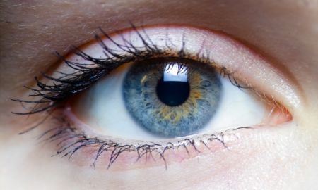 10 важнейших фактов о глазах и о том, как сохранить зрение
