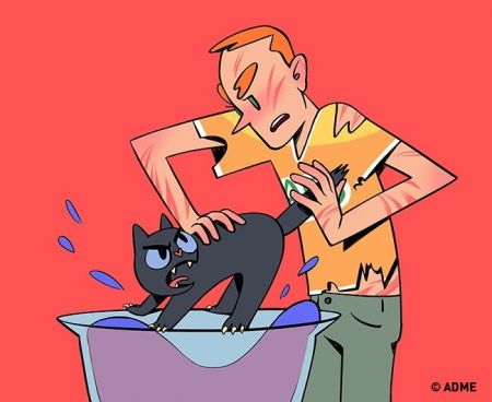 Закон кошачьего тяготения и еще 15 вещей