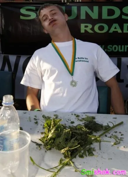 Чемпіонат по поїданню кропиви Чемпіонат по поїданню кропиви