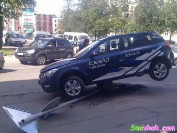Фото приколи дня