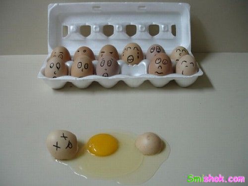 Життя яєць