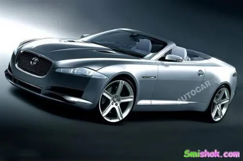 Jaguar збільшить популяцію