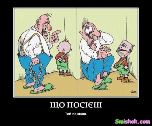 Підбірка демотиваторів для підняття настрою