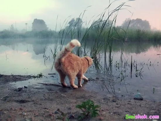 Підбірка веселих фоток