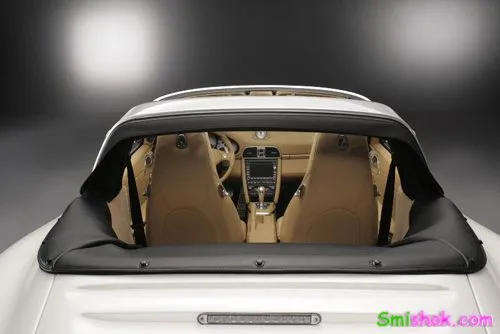 Porsche 911 обзавівся кузовом тарга