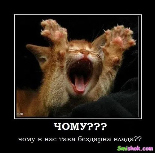 Ось вони демотиватори