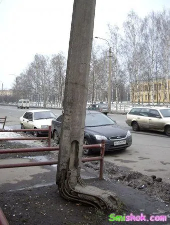 Фото приколи