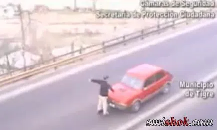 Дурень на дорозі
