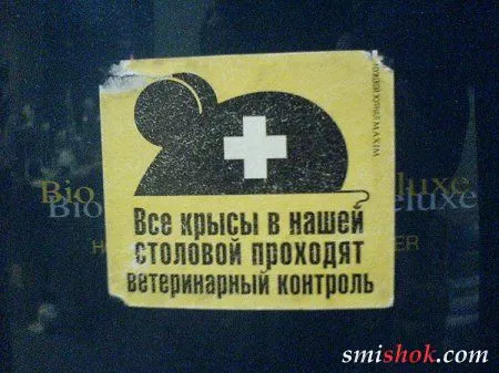 Чергова підбірка позитиву