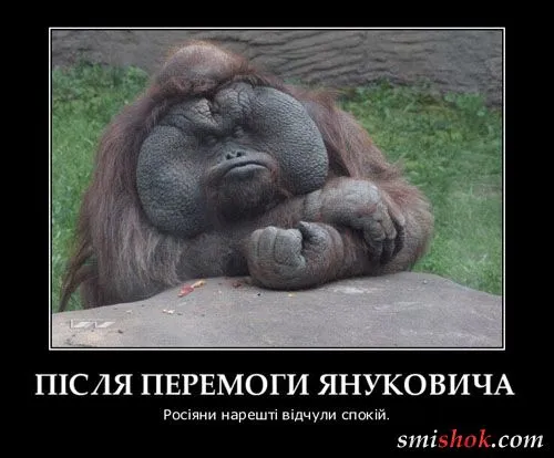Ну так ще будем любить україну чи не...