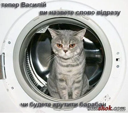 Коротко про головне, смішні висловлювання та прикольні цитати ...