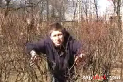 Дуже смішно. Дивитися всім