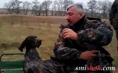 Собака - наливака