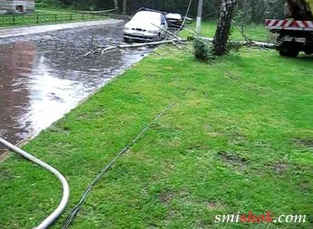 Казка про те як ЖЕК дерева полив...