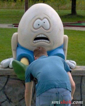 Фотографії, зроблені у вдалий момент та з вдалим ракурсом