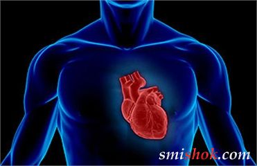 Американські вчені встановили зв'язок між перевіркою email і здоров'ям серця