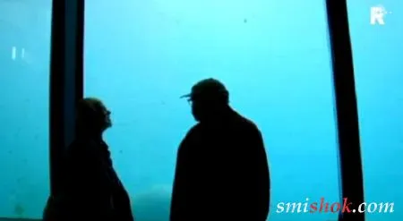 Білий ведмедик задумав втекти