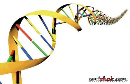 ДНК VS Кохання
