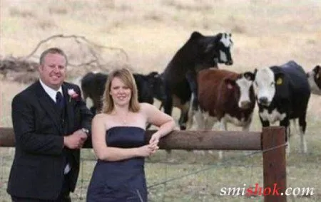 Фотобомби з тваринами