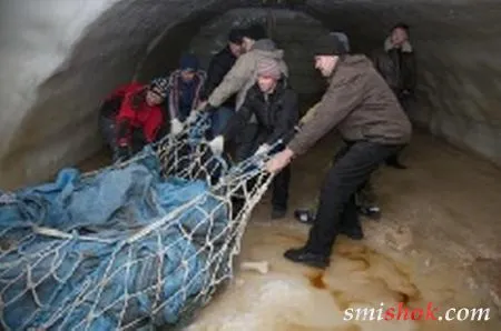 Хлопчик знайшов унікальну тушу мамонта з м'ясом і жиром