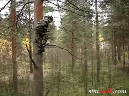 Початківець каскадер