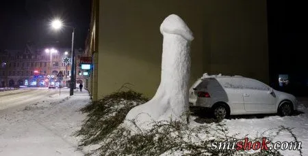 Фото та картинки і потім не кажіть, що вони не прикольні