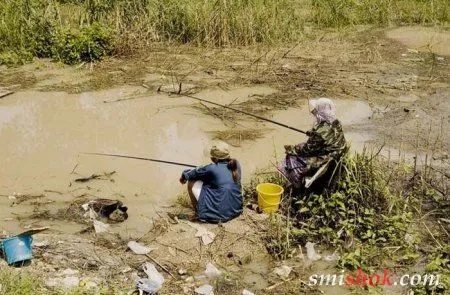 Фото та картинки і потім не кажіть, що вони не прикольні