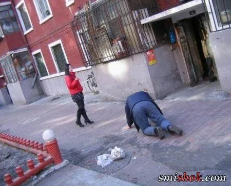Проведи день з приколами...