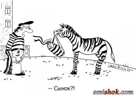 Карикатур не смешных не бывает!