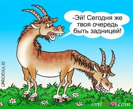 Карикатур не смешных не бывает!