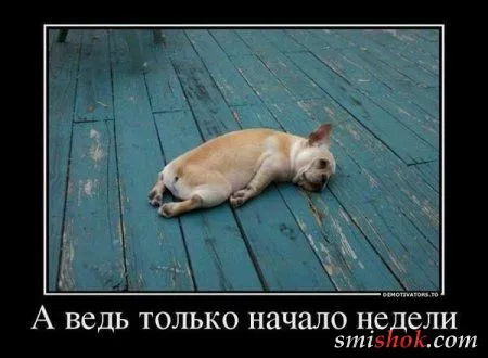 Новые демотиваторы, приколы в рамках