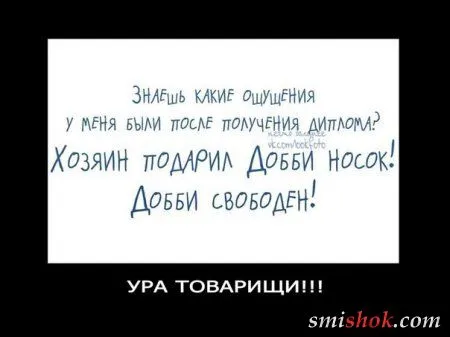 Новые демотиваторы, приколы в рамках
