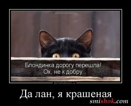 Демотиваторы. смешные картинки Демотиваторы. смешные картинки