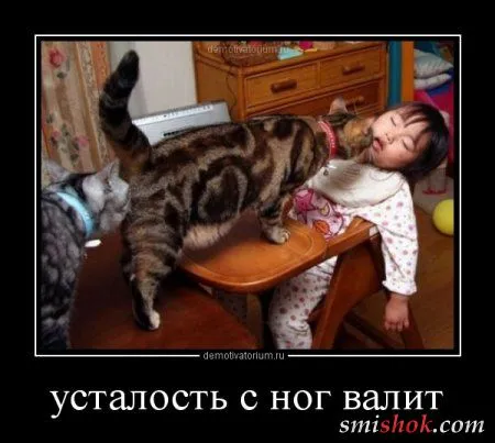 Демотиваторы. смешные картинки Демотиваторы. смешные картинки