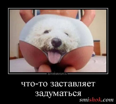 Демотиваторы. смешные картинки Демотиваторы. смешные картинки