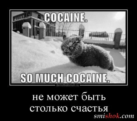 Демотиваторы. смешные картинки Демотиваторы. смешные картинки